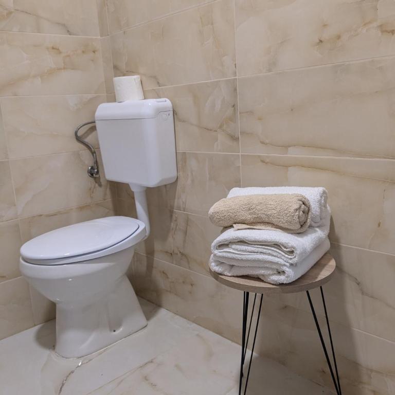 Ana Milesevska - Apartman sa 1 Spavaćom Sobom - 7