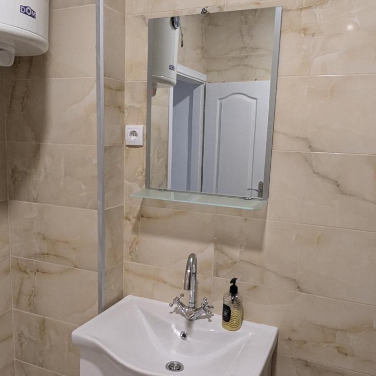 Ana Milesevska - Apartman sa 1 Spavaćom Sobom - 12