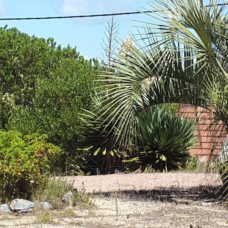 Dipoquito - Casa - 32