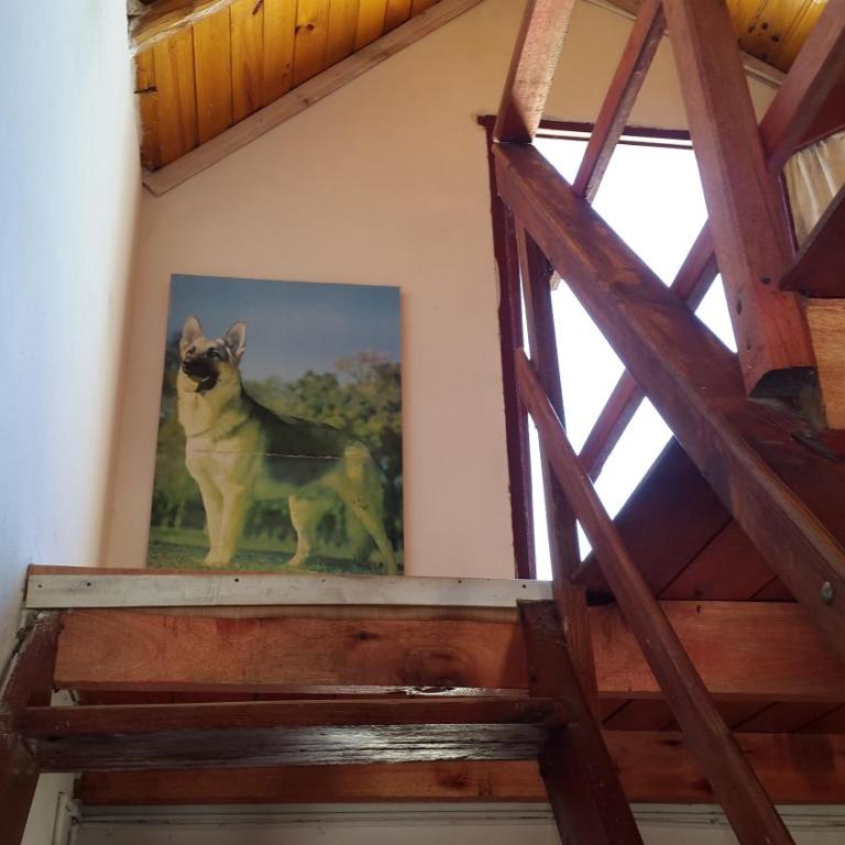 Dipoquito - Casa - 34