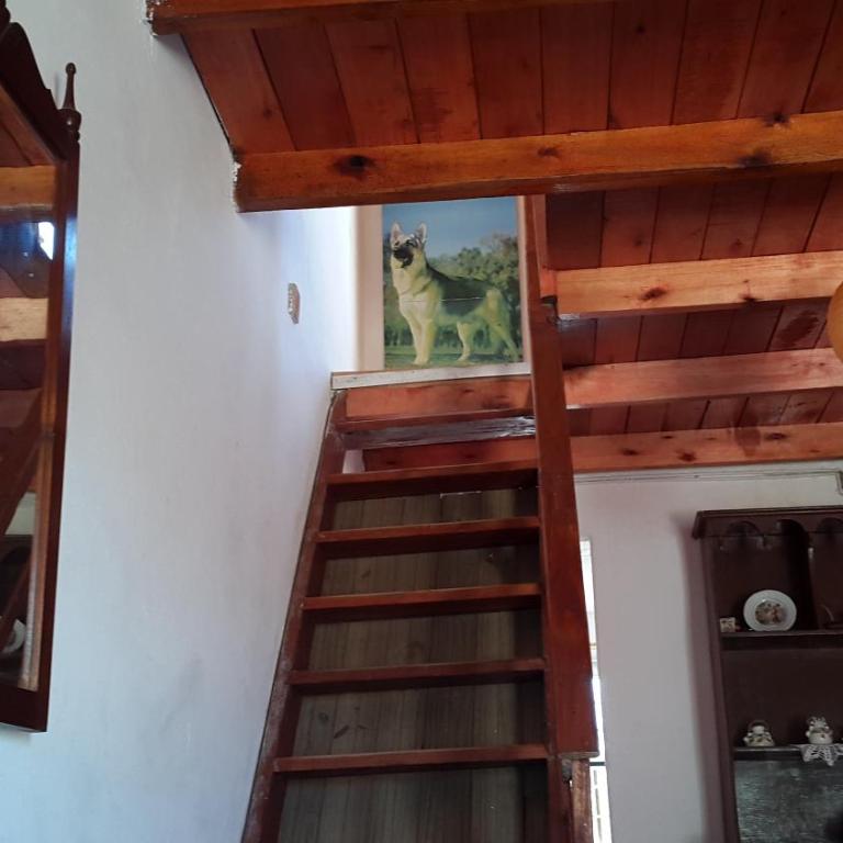Dipoquito - Casa - 46