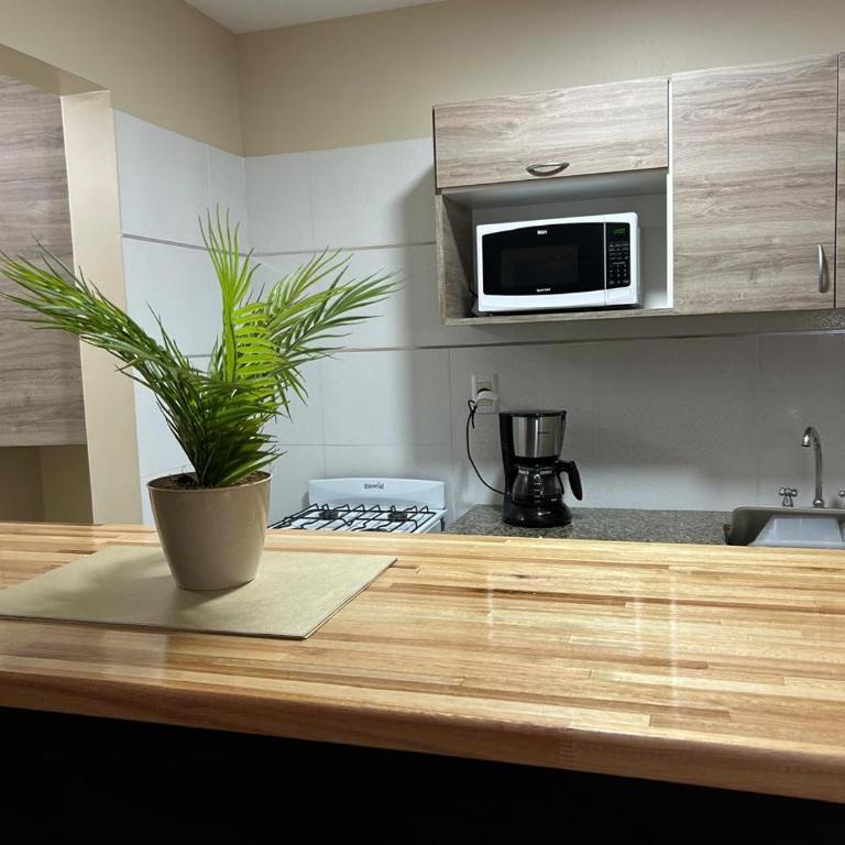 Complejo Médanos - Deluxe One-Bedroom Apartment with Garden View - 11