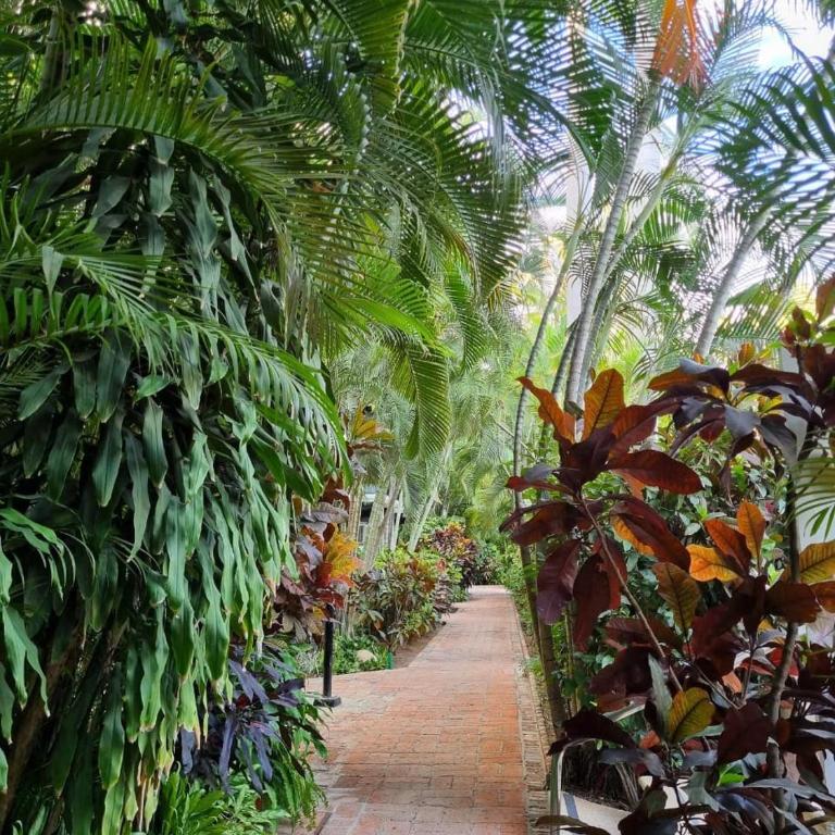 2 Bedroom Treetop Condo - Apartment - 13