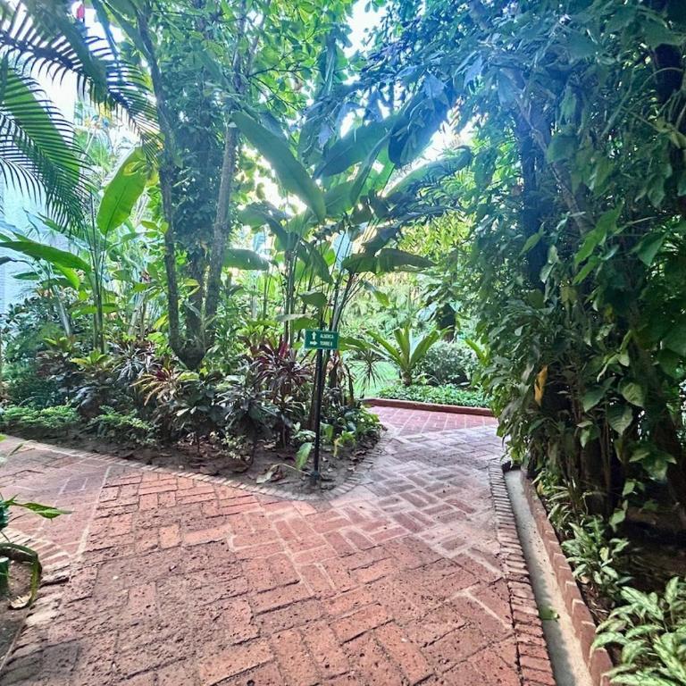 2 Bedroom Treetop Condo - Apartment - 21