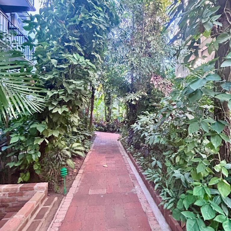 2 Bedroom Treetop Condo - Apartment - 25