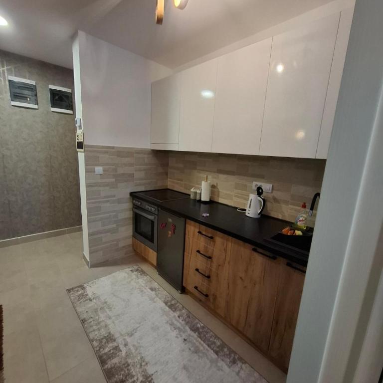 Apartman Nina Divcinova - Apartman sa 1 Spavaćom Sobom - 2