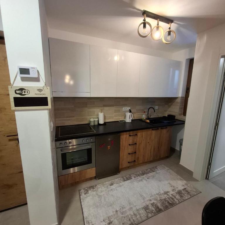 Apartman Nina Divcinova - Apartman sa 1 Spavaćom Sobom - 9