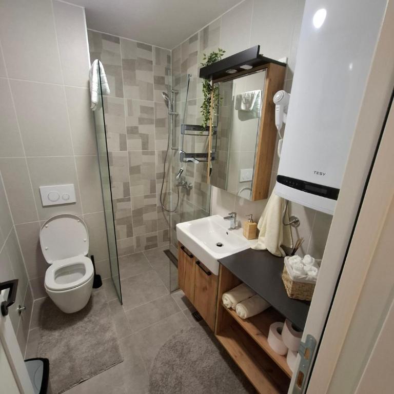 Apartman Nina Divcinova - Apartman sa 1 Spavaćom Sobom - 10