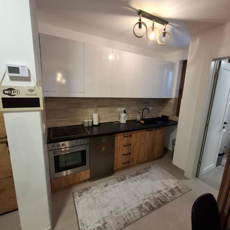 Apartman Nina Divcinova - Apartman sa 1 Spavaćom Sobom - 12