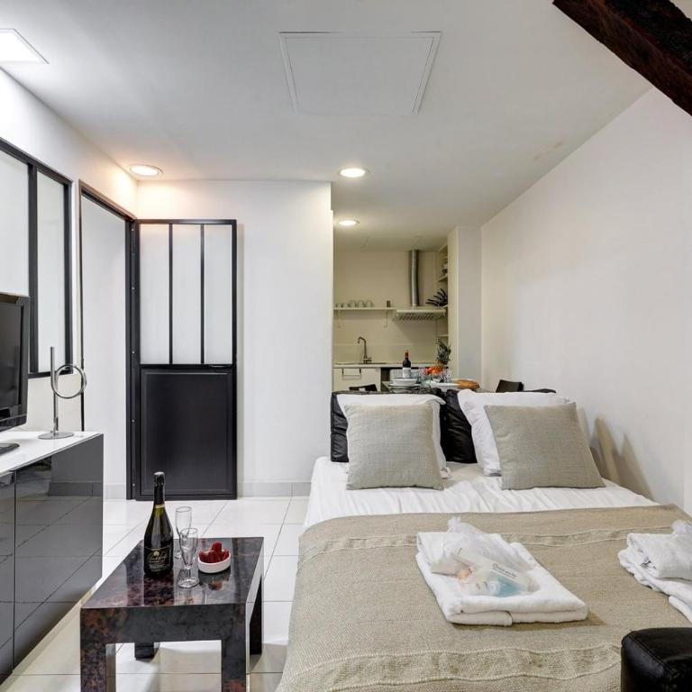Bluestay 224 - Superb apartment in Paris - Appartamento - 7