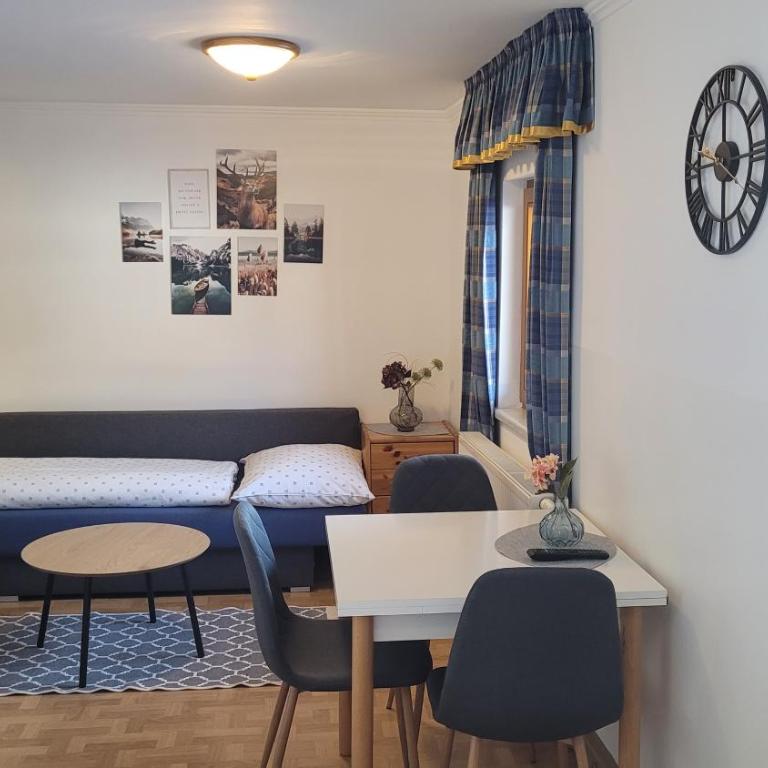 Ferienwohnung Mitterdiel - Appartement 1 Chambre - 15