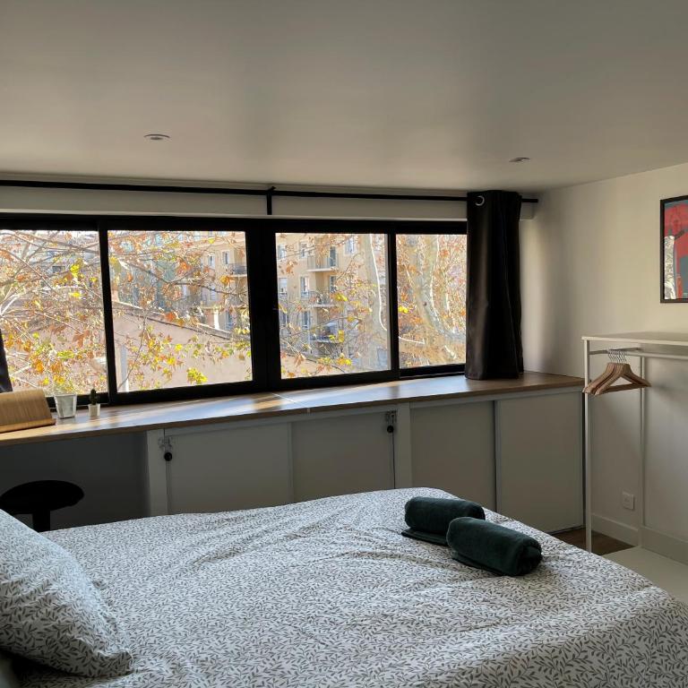 L'Olivier - Joli duplex au cœur du centre ville à 2 pas de la Rotonde Mirabeau et des allées Provençales - Maisonette-Apartment - 12