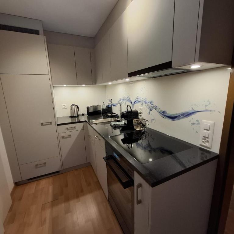 Modern 2BR apartment for up to 6 WEF Exclusive Davos Platz & Promenad - Apartment mit 2 Schlafzimmern - 37