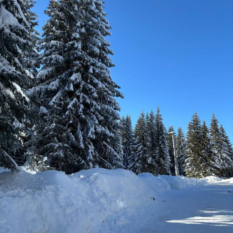 Harmony Peak Jahorina - Apartman sa 1 Spavaćom Sobom - 80