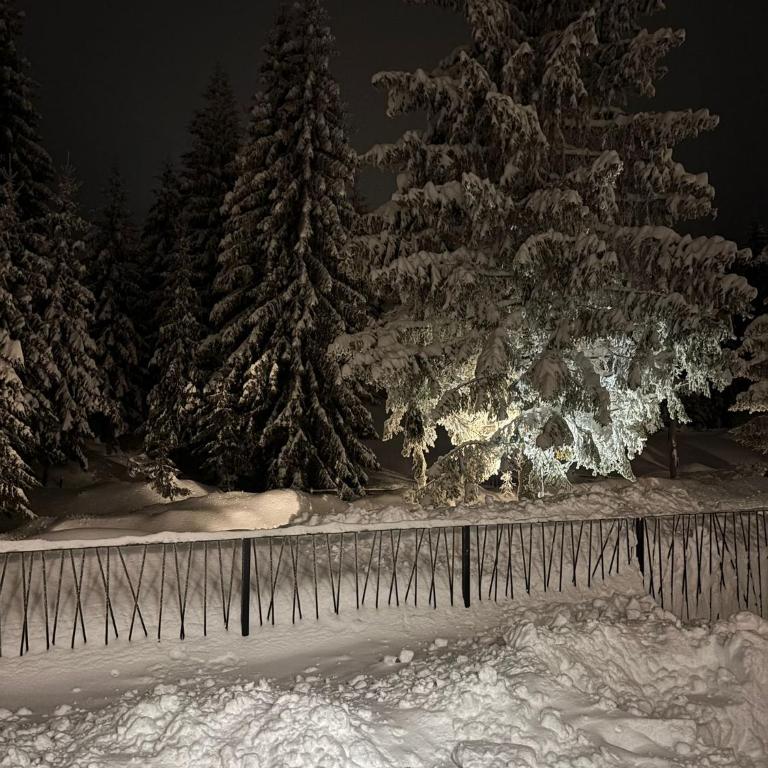 Harmony Peak Jahorina - Apartman sa 1 Spavaćom Sobom - 78