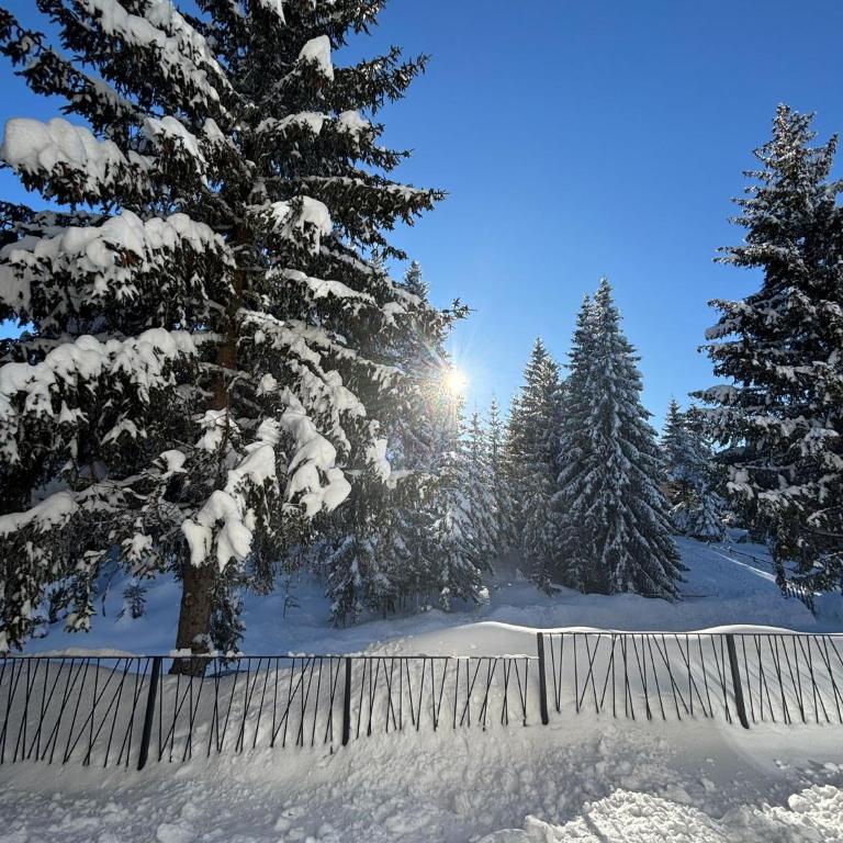 Harmony Peak Jahorina - Apartman sa 1 Spavaćom Sobom - 17