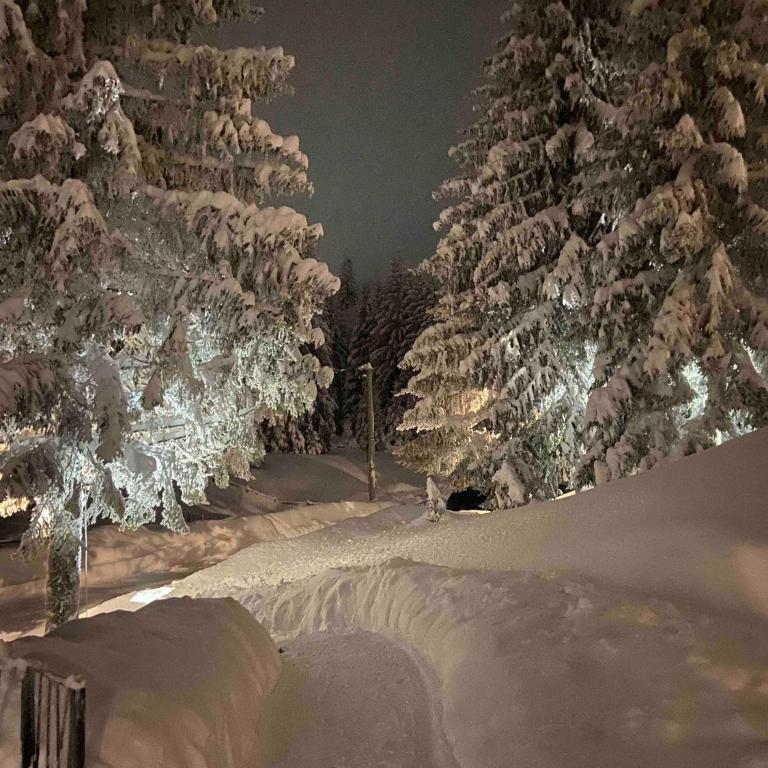 Harmony Peak Jahorina - Apartman sa 1 Spavaćom Sobom - 14
