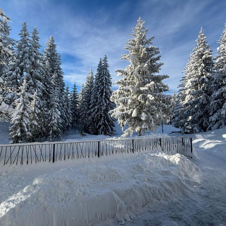 Harmony Peak Jahorina - Apartman sa 1 Spavaćom Sobom - 29