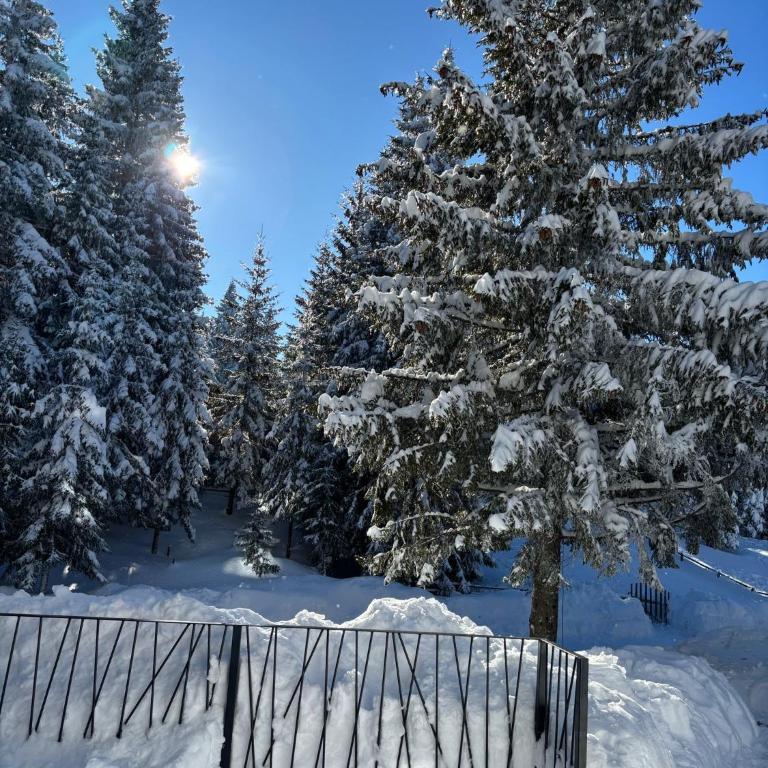 Harmony Peak Jahorina - Apartman sa 1 Spavaćom Sobom - 1