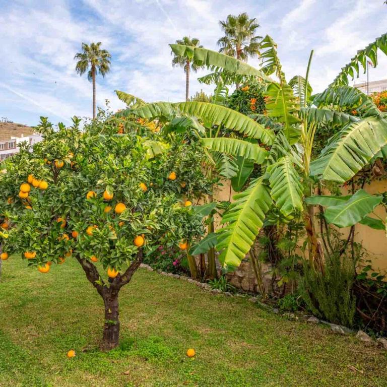 Noria Del Mar - Villa con piscina privada - 27