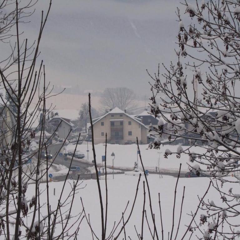 Appartamento Hubertus 2 camere - Appartamento con 2 Camere da Letto - 16