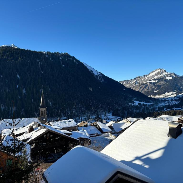 Le Savoisien, Appartement in centrum Chatel 150 m van ski-lift - Appartement 3 Chambres - 3