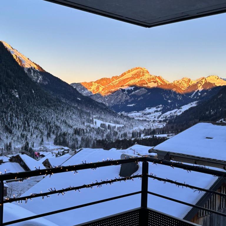 Le Savoisien, Appartement in centrum Chatel 150 m van ski-lift - Appartement 3 Chambres - 21