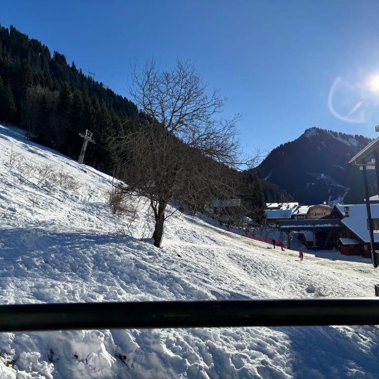 Le Savoisien, Appartement in centrum Chatel 150 m van ski-lift - Appartement 3 Chambres - 19