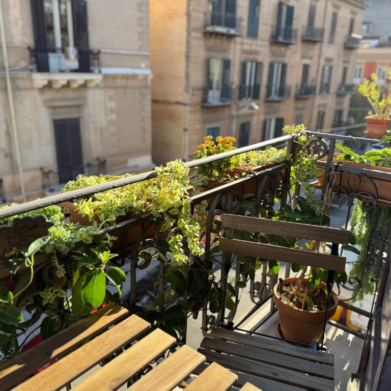Casa Faidda - Appartamento con 2 Camere da Letto, Balcone e Terrazza - 13
