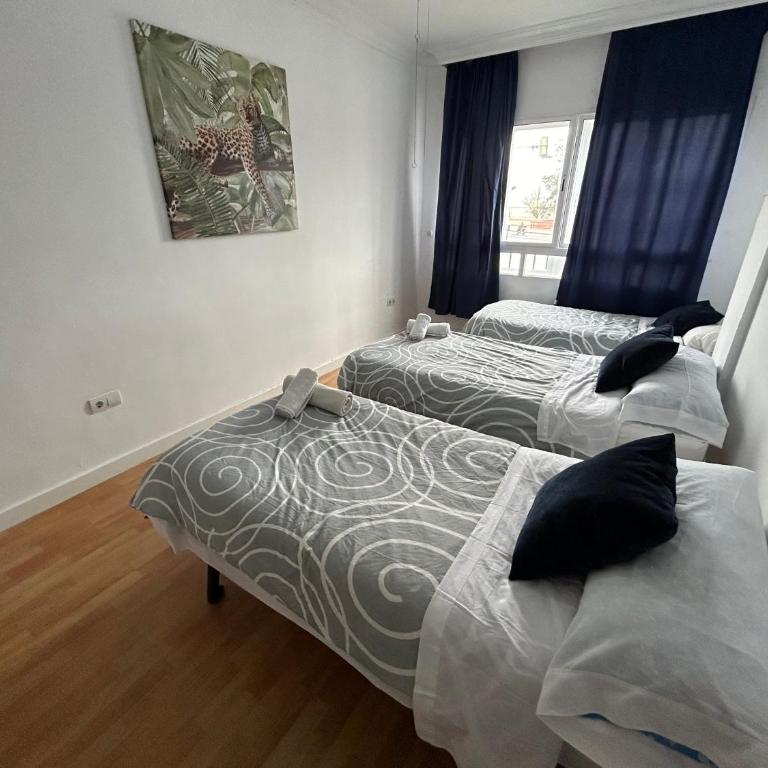 Malaguetor Home - Apartamento - 5