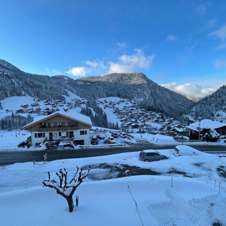 GROTTE AUX FEES A, appartement skis aux pieds - Apartamento de 2 dormitorios - 4