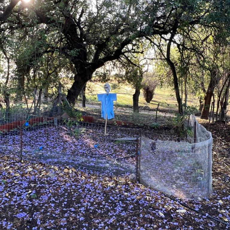 Quinta lo de Dito - Casa de 4 dormitorios - 15