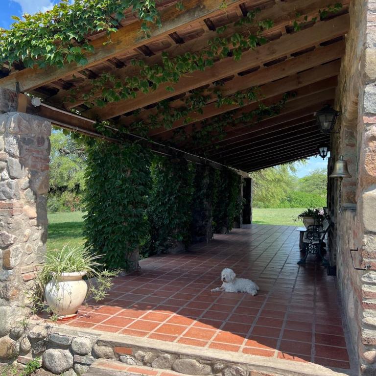 Quinta lo de Dito - Casa de 4 dormitorios - 5