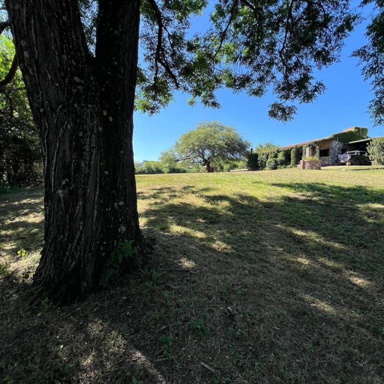 Quinta lo de Dito - Casa de 4 dormitorios - 7