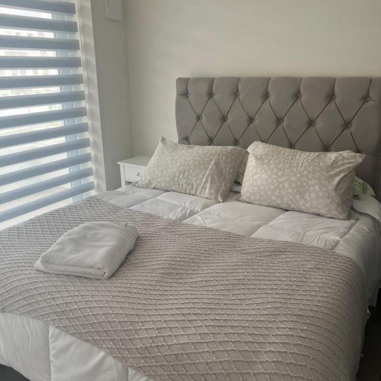 Puerto Serena - One-Bedroom Apartment - 2