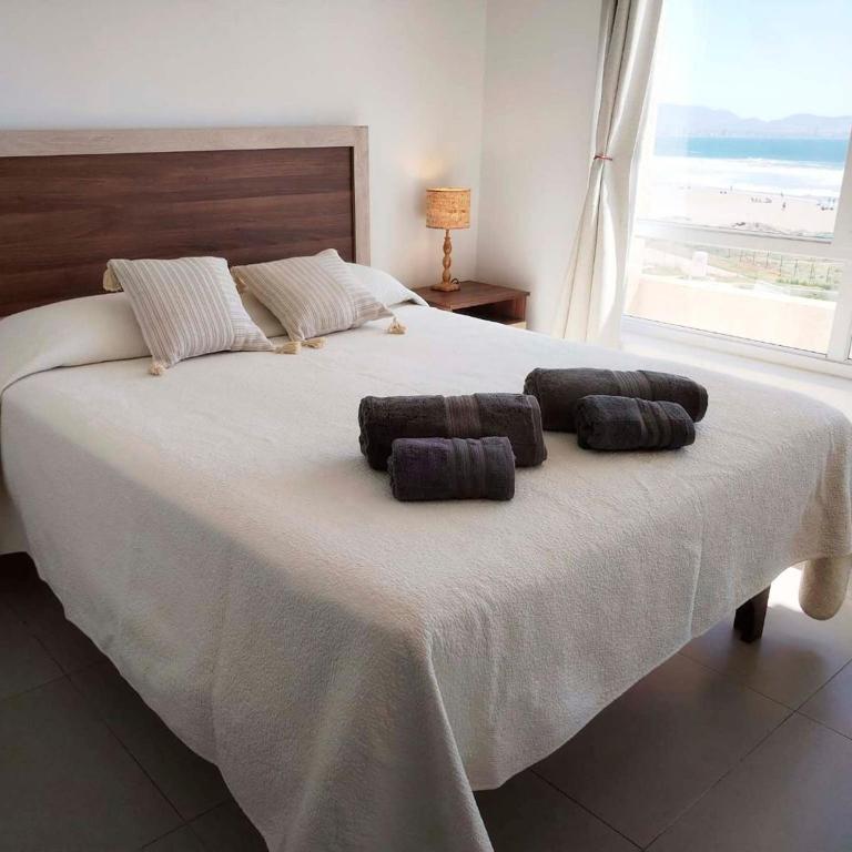 Smart Host Rentals - Vive un Paraíso Frente al Mar - Apartamento de 2 dormitorios con terraza y vistas al mar - 12