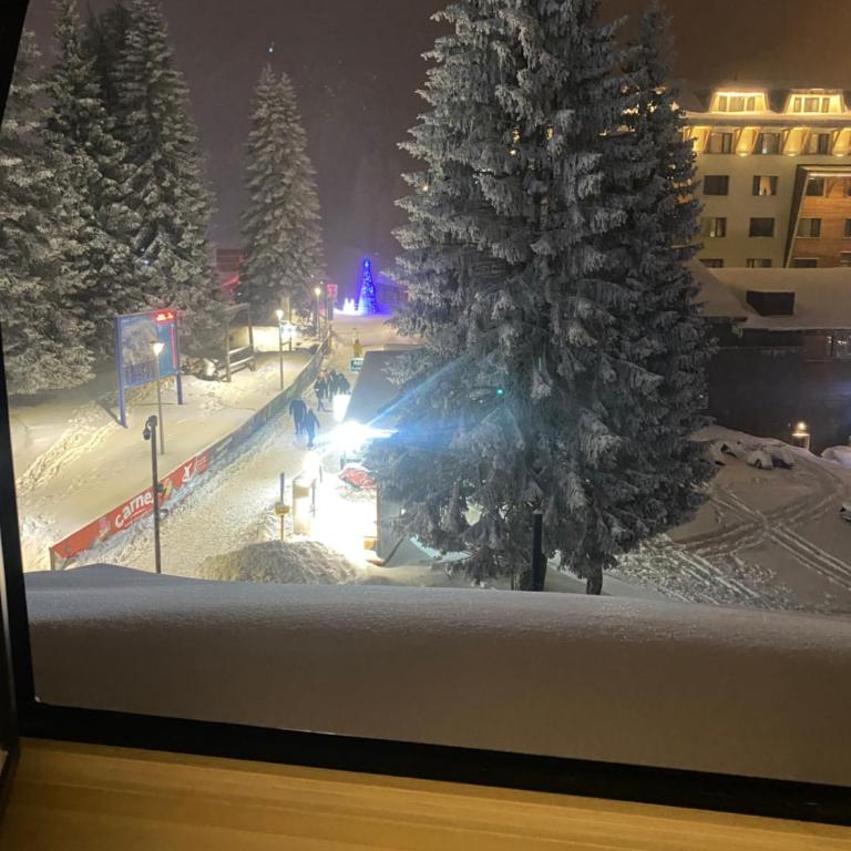 KULA ANDJELA KONACI - Kopaonik Ski Centar - One-Bedroom Apartment - 12