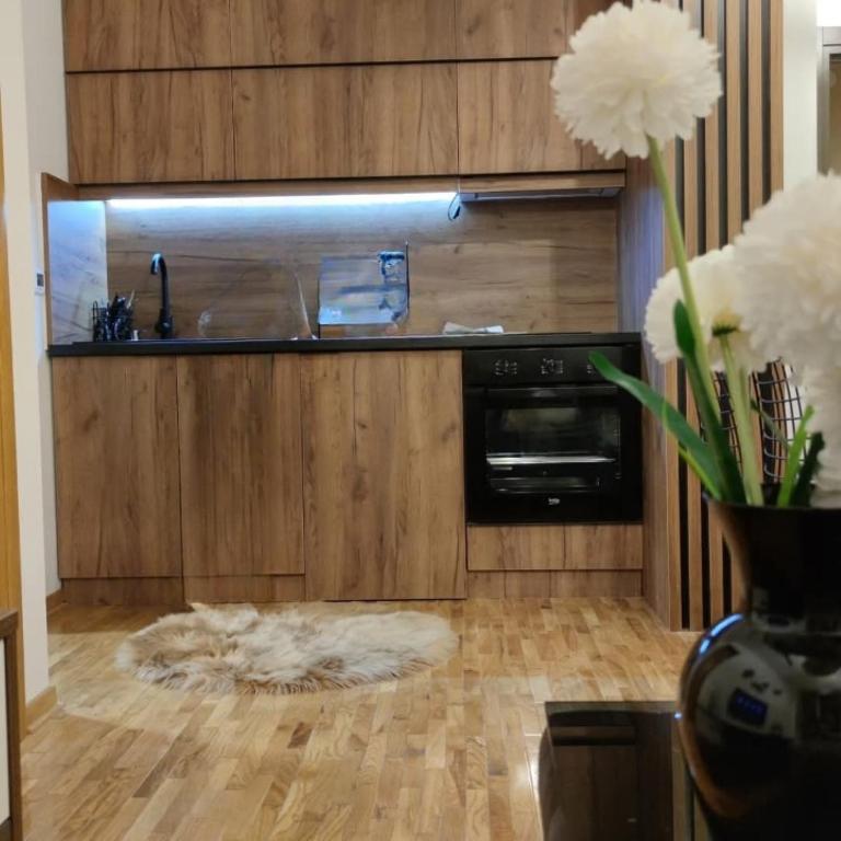 Wolf Apartments Kopaonik - Deluxe One-Bedroom Apartment - 6