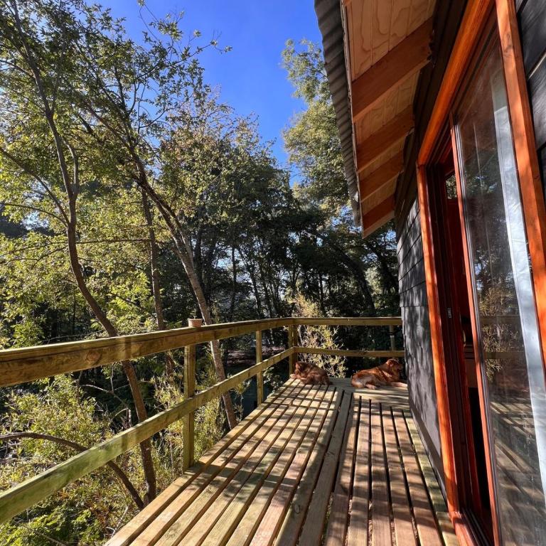 Tiny house los Lleuques - One-Bedroom Chalet - 1