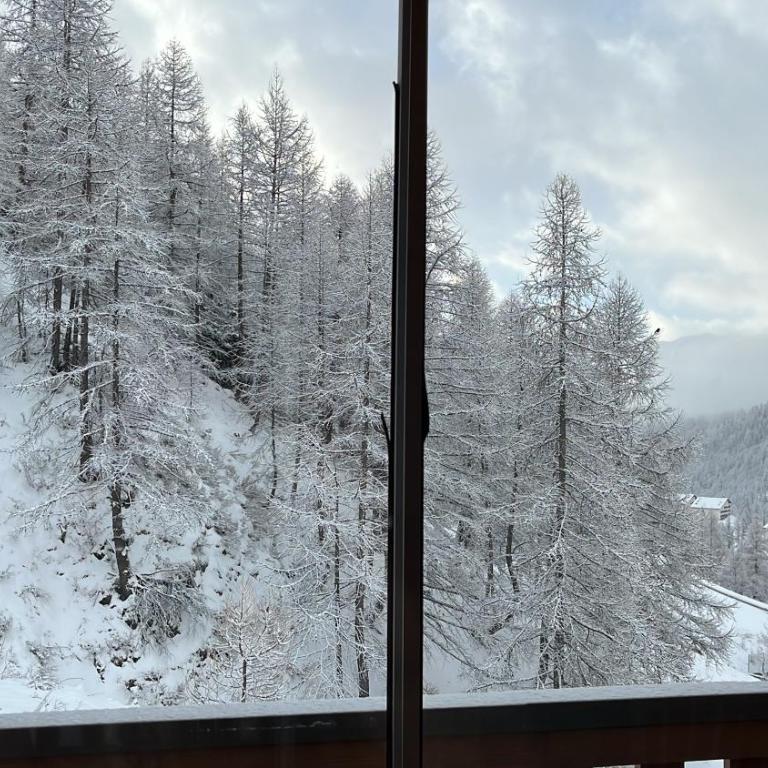 Grand studio avec véranda La Foux d'Allos - Appartement 1 Chambre - 3