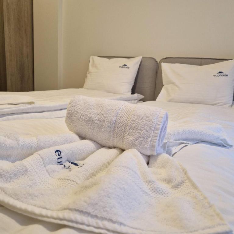 Euphoria Milmari Resort Kopaonik - Apartman sa 1 Spavaćom Sobom - 4