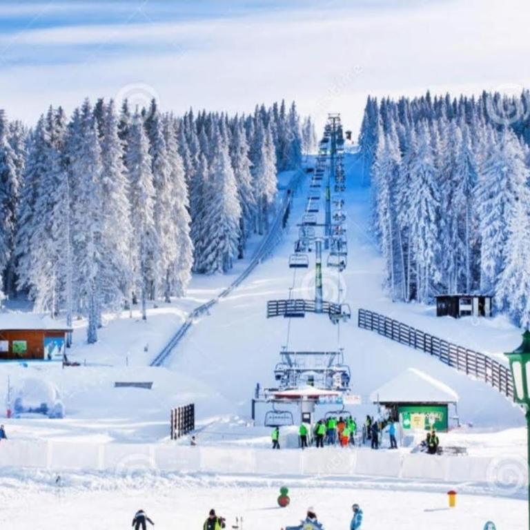 Euphoria Milmari Resort Kopaonik - Apartman sa 1 Spavaćom Sobom - 18
