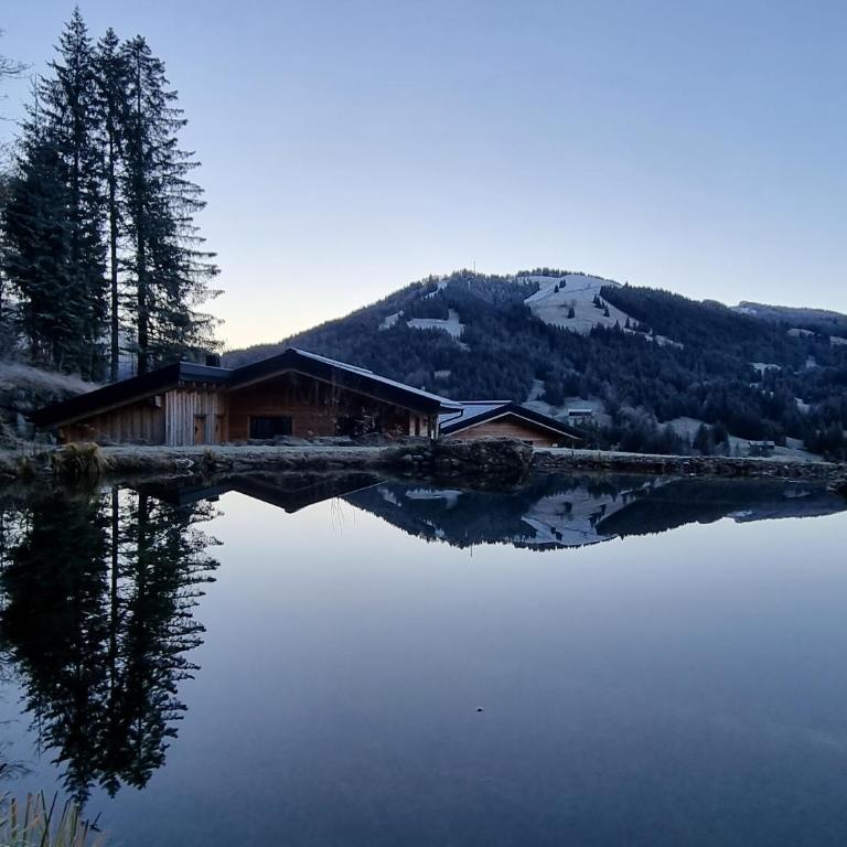 Alpenflair-Chalets-Balderschwang - Chalet mit 1 Schlafzimmer - 17