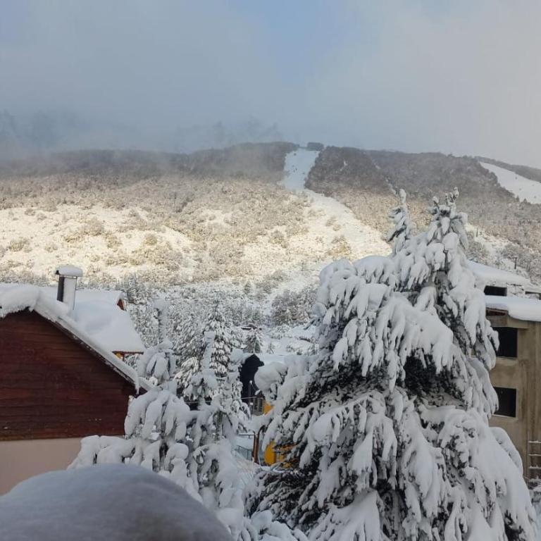 ph cerro catedral bariloche - Apartamento de 1 dormitorio - 16