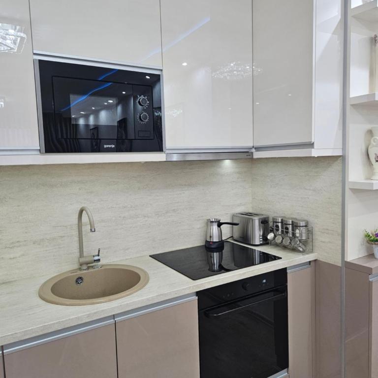 Exclusive apartmants 1 Vrnjacka Banja - Apartman sa 1 Spavaćom Sobom - 30