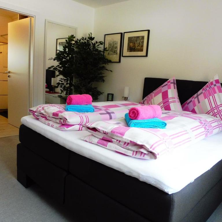 Komfortable Wohnungen und Studio in Sankt Englmar - Apartment mit schöner Aussicht - 10