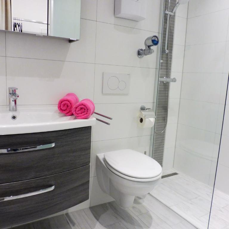 Komfortable Wohnungen und Studio in Sankt Englmar - Apartment mit schöner Aussicht - 5