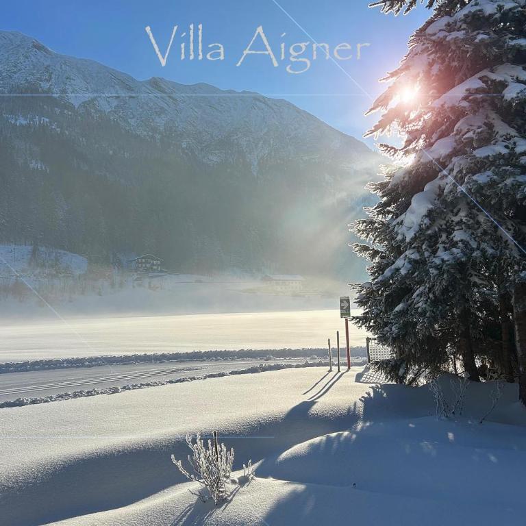 Villa Aigner - Apartment mit Bad - 55