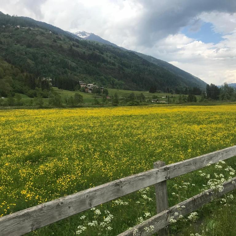 Mansarda al Noce - Appartamento con 2 Camere da Letto - 33