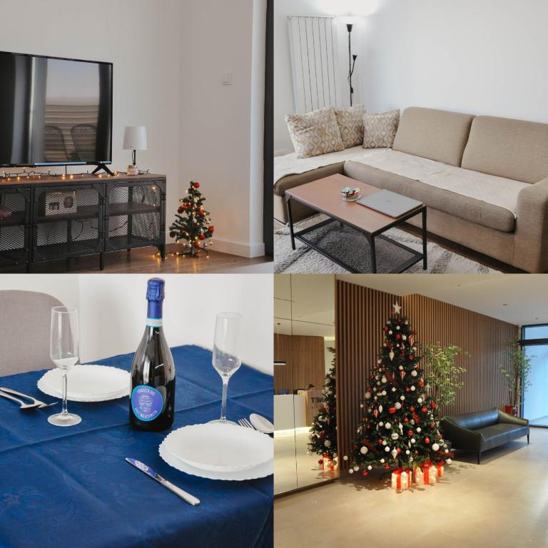 Planet Residence Royal Studio Niš - Apartman sa 1 Spavaćom Sobom - 60